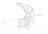Conceptual drawing of the chiwei (owl tail) detail in the Main Hall
